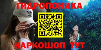 ГАЛЛЮЦИНОГЕННЫЕ ГРИБЫ Заводоуковск
