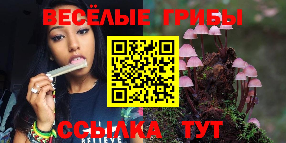 Галлюциногенные грибы мухоморы  Галлюциногенные грибы прущие грибы  Лесной  Вход с VPN 