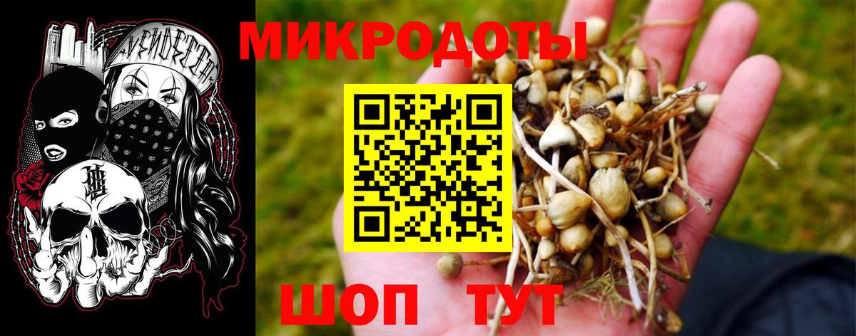 Псилоцибиновые грибы мухоморы Лесной